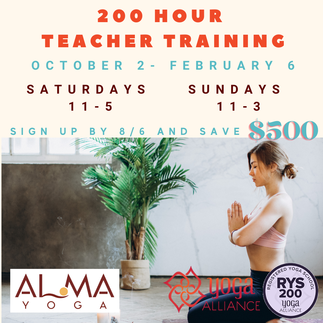 Yoga Teacher Training - 200 hr& 300 HrCertifications - Wilmington Yoga